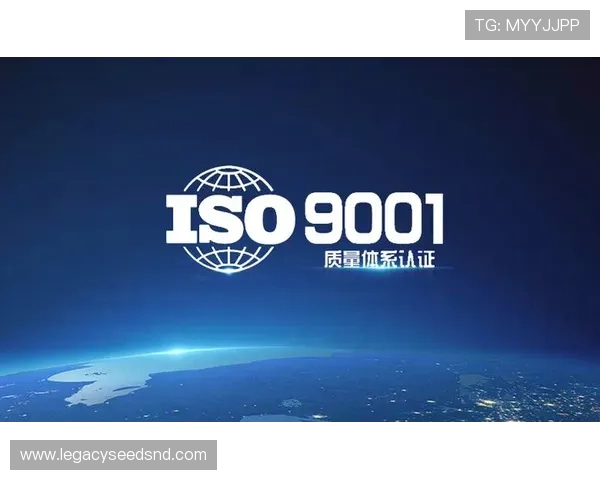 凯发K8app下载后如何进行游戏登录与账号安全保障措施详解