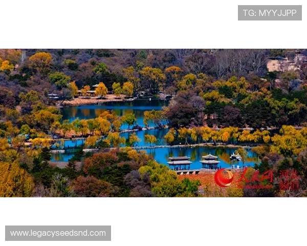 凯发k8首页登录最新公告,及时掌握平台动态与优惠活动,享受更多专属福利