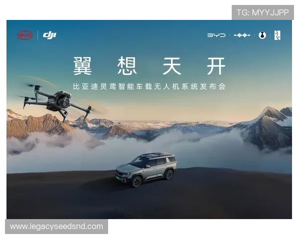 选择K8凯发一触即发旗舰，享受安全稳定的高端娱乐服务体验