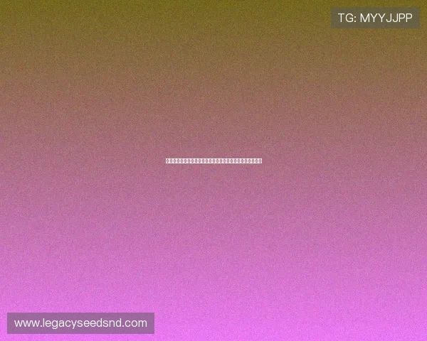 巴西摩洛哥大赛经验分享：比赛中的关键时刻与战术应对策略