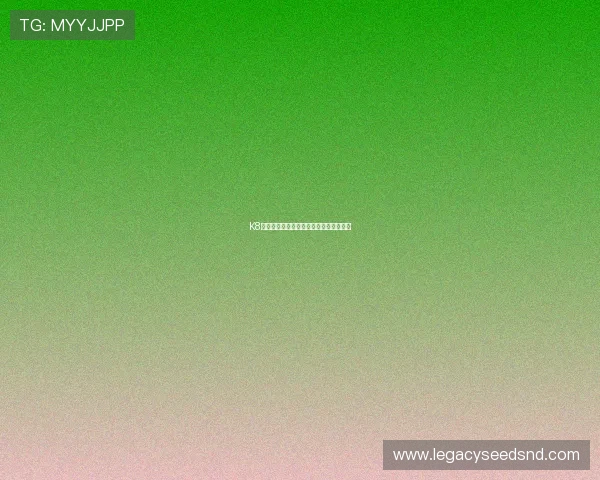 K8网站的最新优惠活动与奖励机制全面解析
